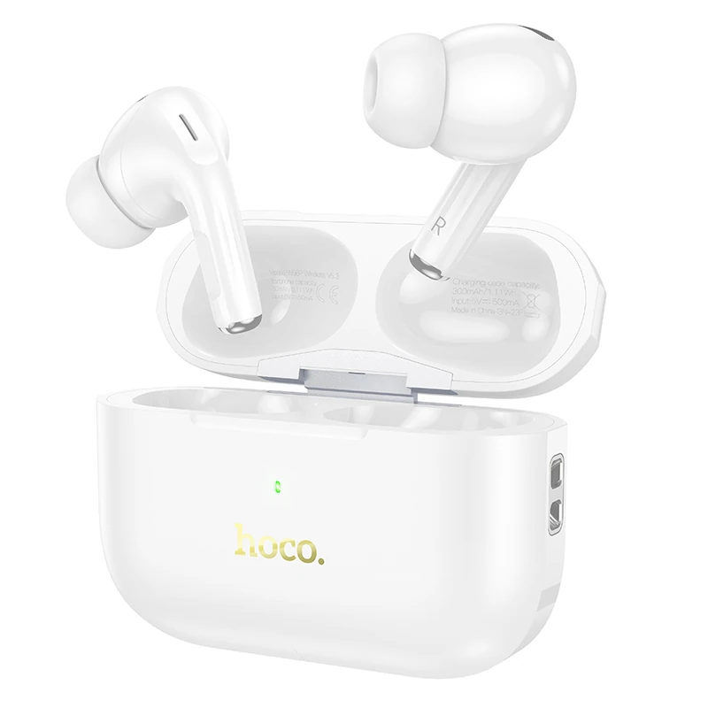 Hoco EW56 Plus Generoso ANC Wireless Earbuds