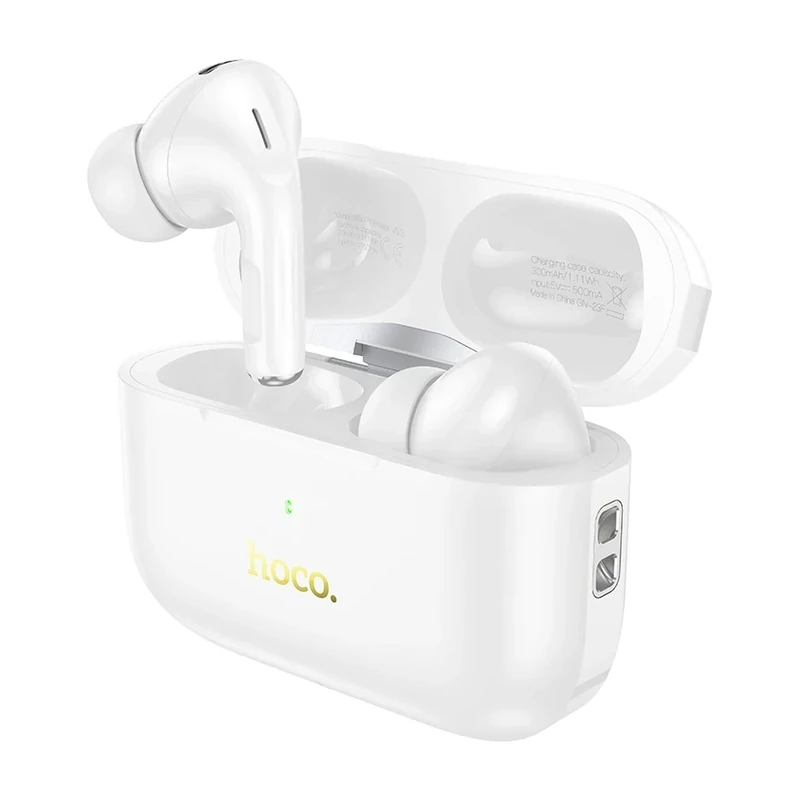 Hoco EW56 Plus Generoso ANC Wireless Earbuds — ছবি ২